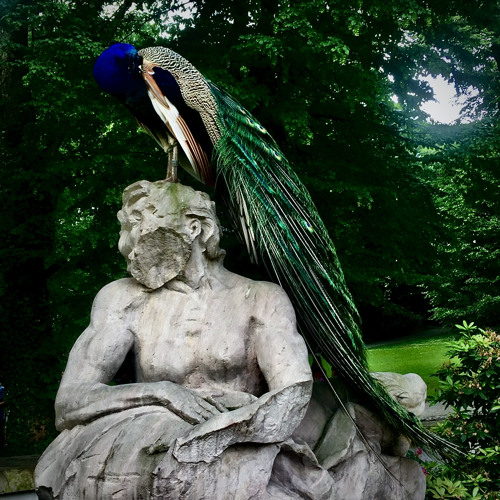 FLEX (prod. seturek)