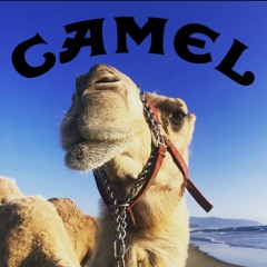 CAMEL CRUSH (Prod. Infameezy) [MUSIC VID LINK IN MY BIO]