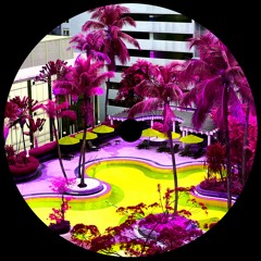 Don't Bring Yourself Down