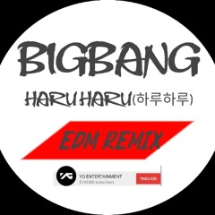 BIGBANG - HARU HARU(하루하루) EDM Remix