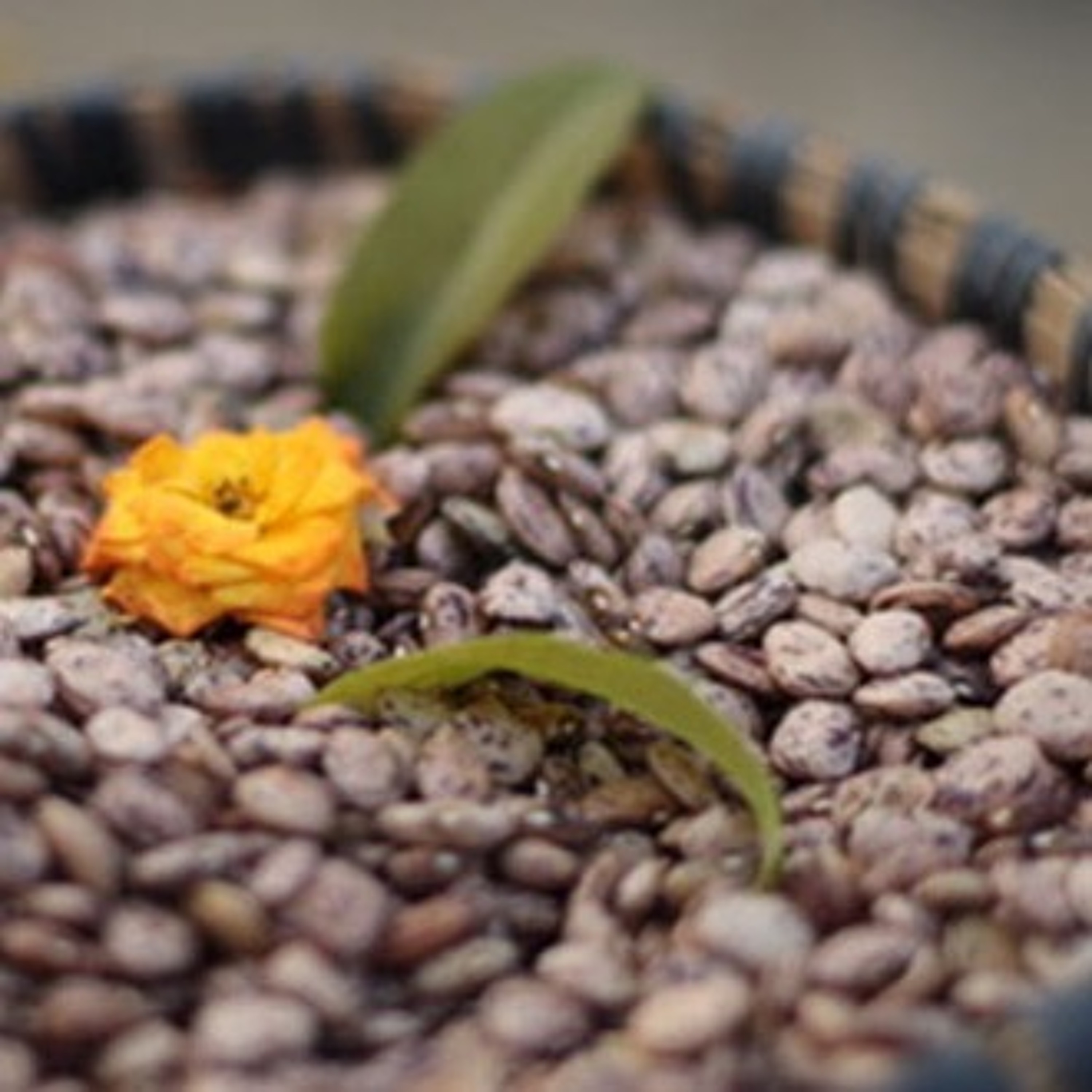 Exploring Nature, Culture and Inner Life