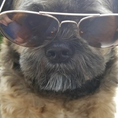 THEPRO