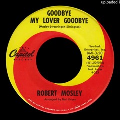 Goodbye My Lover Goodbye - Robert Mosley (OST Green Book)