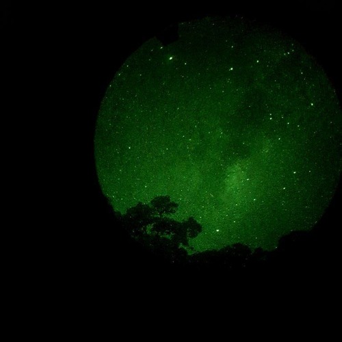 Starly - LONOWN, Riserayss (Slowed)