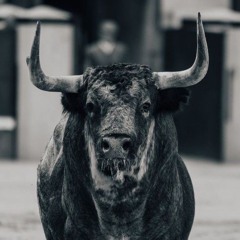 WOOD - CORRIDA