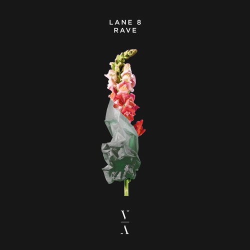 Lane 8 - Rave [Extended Mix]