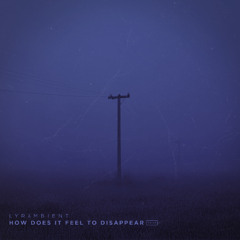 how does it feel to disappear