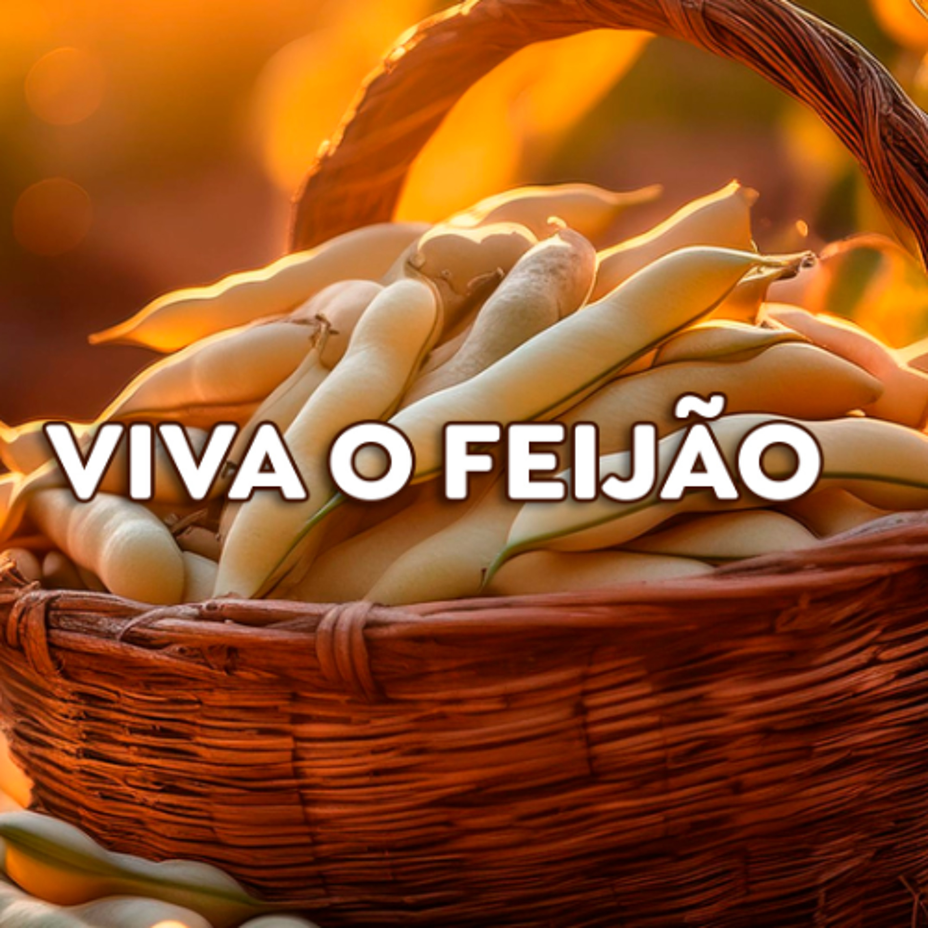 Paracatu Rural - Jornal do agronegócio