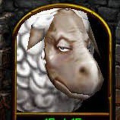 Sheep