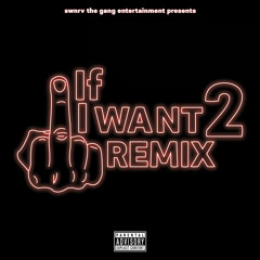 If I Want 2 (Remix)