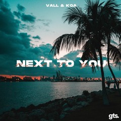 Next To You (ft. Koa)