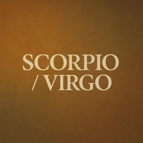 Scorpio / Virgo