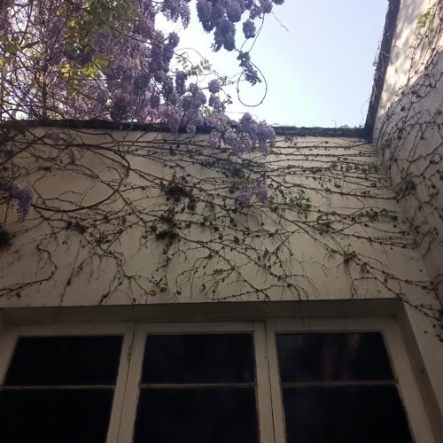 Oye (Demo)