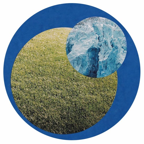 Premiere : Insectoscope - Spy-Net (CON004)