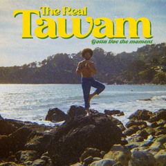 The Real TAWAM - 01 - Just A Vibe