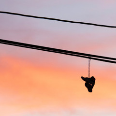 Halfway Crooks (Clip)