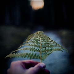 Abstract Echoes