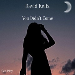 David Kelix - you Didn't Come