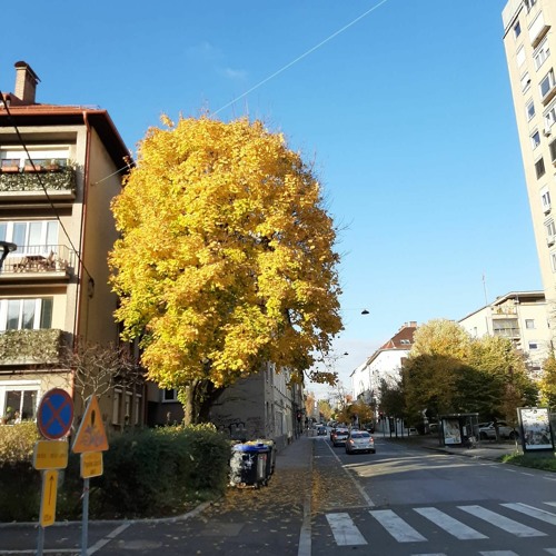 Technicoloured Sundays #2 Melodics