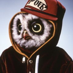 DONTRAE (STAMINA Sampler)