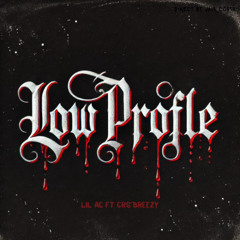 Low Profile & CRS'BREEZY