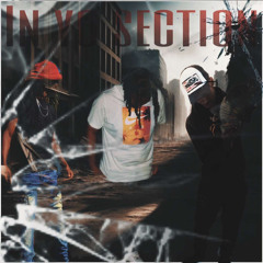 Big CEO - In Yo Section (ft. Hp Slimm x Big Shiest)