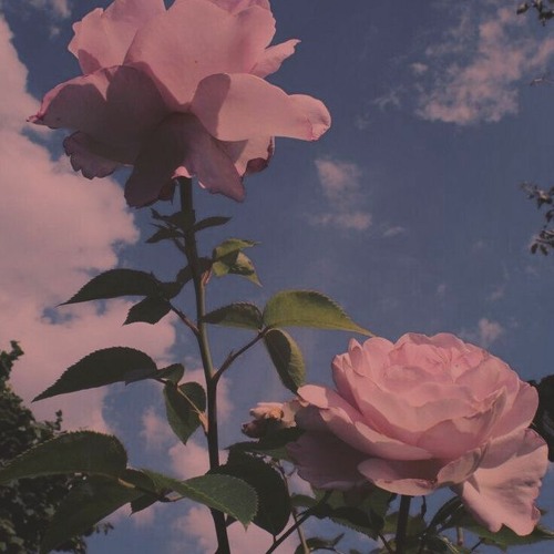 Lý do nào để quay lại với nhau ? - VT (Prod.by New$oulZ)