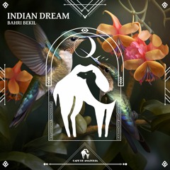 Bahri Bekil - Indian Dream (Cafe De Anatolia)