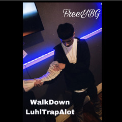 WalkDown-LuhlTrapAlot