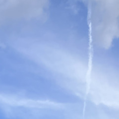fliegen (recyclebin)