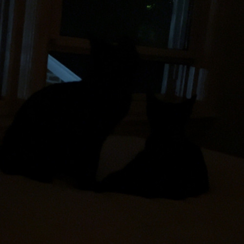fuzZy.mp3