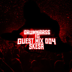 Guest Mix 004 - SKESA