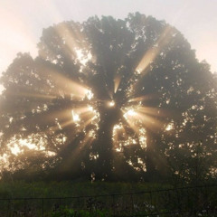 pi'erre bourne - ballad (flip)