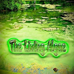 The Living Algae  (Jungle Ambience Music)