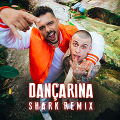 Pedro Sampaio ft Mc Pedrinho - Dançarina (Shark Remix)