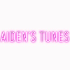 No Effect X Run A Muck (remix)Aiden Ross
