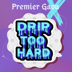 Premier Gaou X Drip Too Hard DJAD Rework