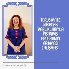 Torus Mate Gökadası Varlıkları ile İnsanımsı Programın Arındırılması Çalışması