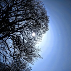 Perfect Atheist (spoken word)