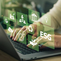 Demystifying Sustainability Reporting for Irish Businesses