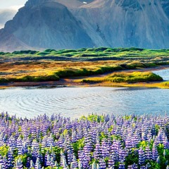 Latin America - the world (moyo prod x dj silvestre extended flower 2022) COPYRIGHT FILTER