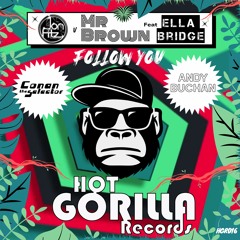 Jon Fitz vs Mr Brown ft Ella Bridge - Follow You (Andy Buchan Remix)