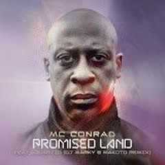 Promised Land feat Aquariid (DJ Marky & Makoto Remix) (2)