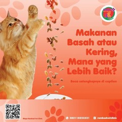 0817-273-670 Operasi Amputasi Kucing Tangerang Selatan, Rambad Vet Clinic