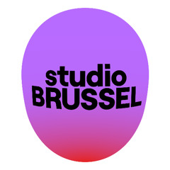 Minifuif Voor Maxipret - 20 februari 2025 - Studio Brussel