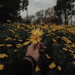 Sofia by Clairo (slowed and reverb)