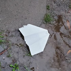 A Lion Love feat.DezDW, Frontier and Will T