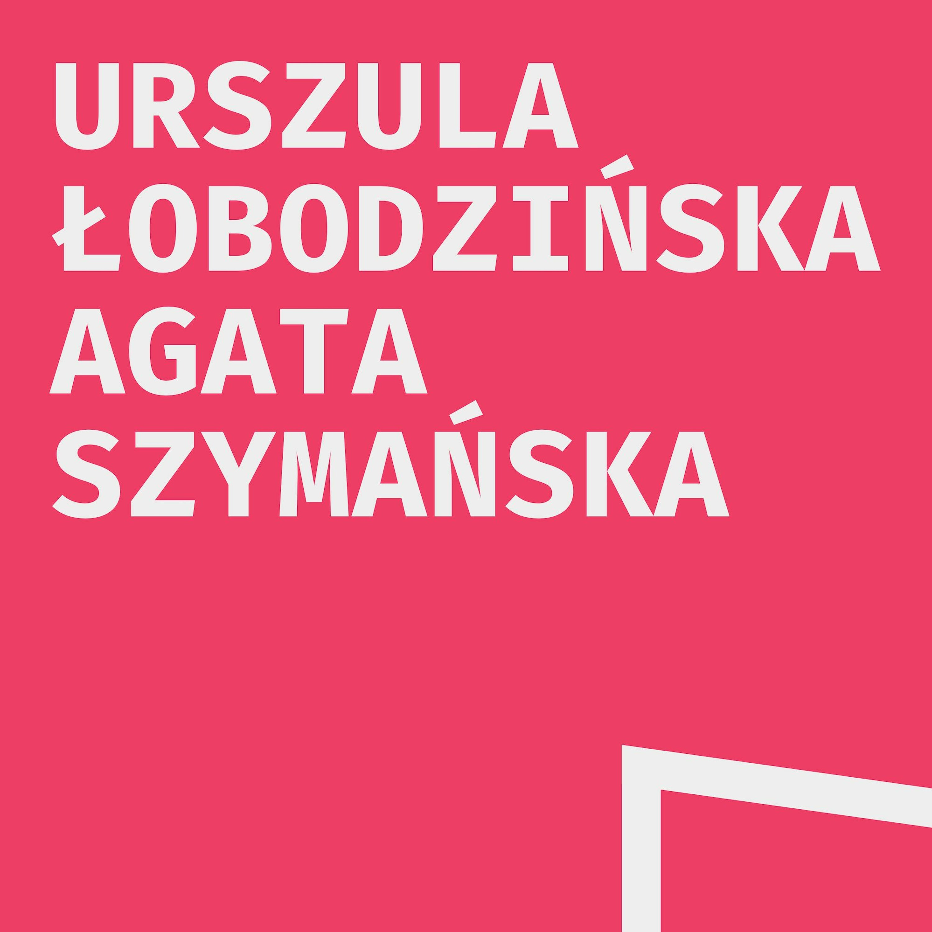 Odsłuch społeczny