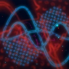 techno program hard reset