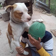 Mjolo wa nyisa ft Bopapao Muchacho